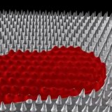 Anti-bacterial surfaces inspired by cicada wings