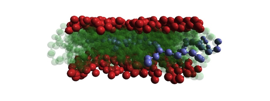 Interaction of nano-objects with membranes Interaction of nano-objects with membranes