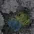 Crowding effects