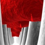 Anti-microbial materials