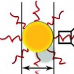 interaction with cells