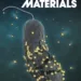 nanoparticle kill bacteria